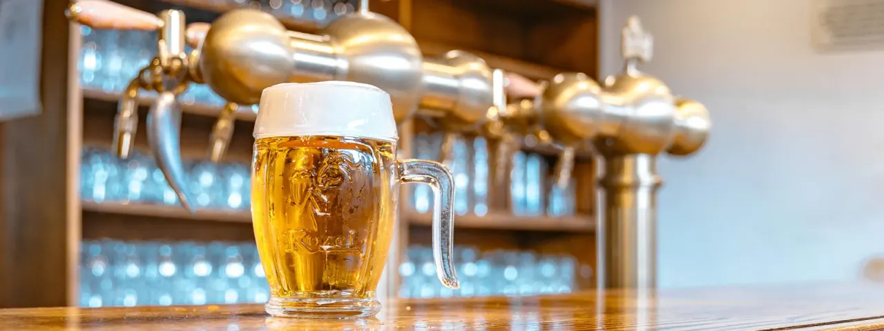 BookNoFees: مطعم – Kozel u Bohemky – Prague – كوزيل عند بوهيمكي، الصورة 1