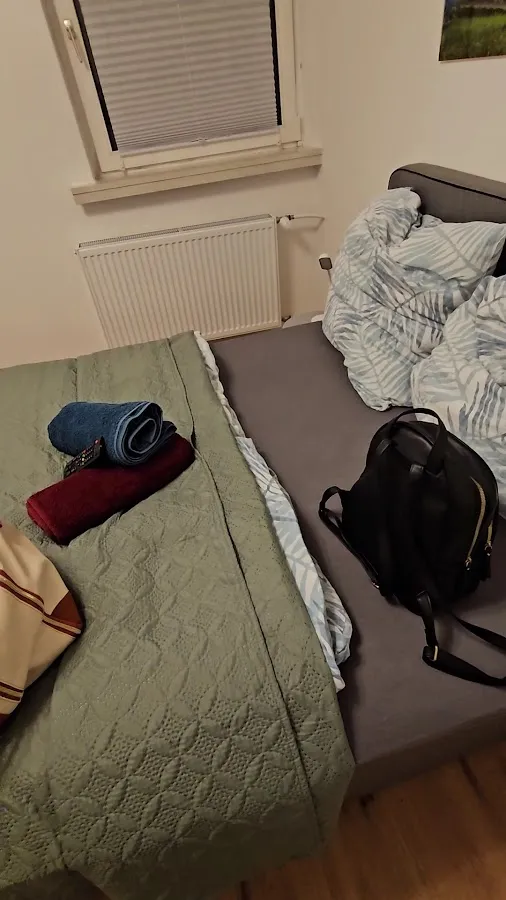 BookNoFees: مطعم – Hotel zur Freiheit – Lennestadt – Hotel zur Freiheit، الصورة 2