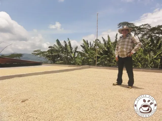 BookNoFees: مقهى – Coffee Star Origins & Blends – Berlin – Coffee Star Origins & Blends، الصورة 2