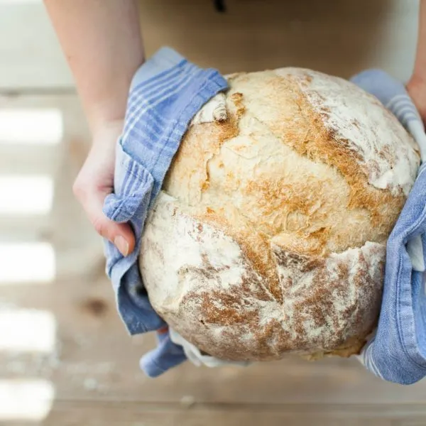 BookNoFees: مخبز – Insieme al pane – Rome – مع الخبز، الصورة 3