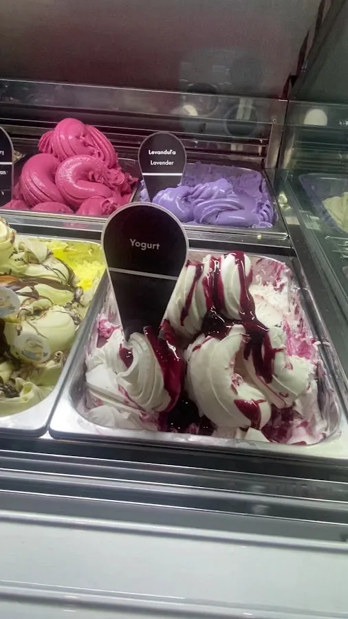 BookNoFees: آيس كريم – Andersen Ice Cream – Bratislava – Andersen Ice Cream، الصورة 3