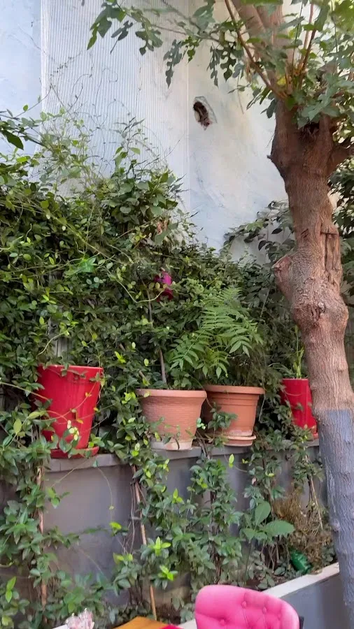 BookNoFees: مطعم – Hidden Garden Sultanat – Istanbul – هيدن غاردن سلطانات، الصورة 3