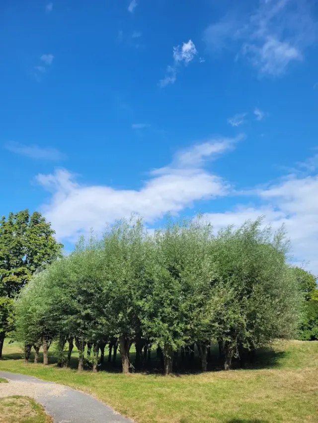 BookNoFees: مطعم – Cafe Seepark – Lünen – مقهى زيبارك، الصورة 2
