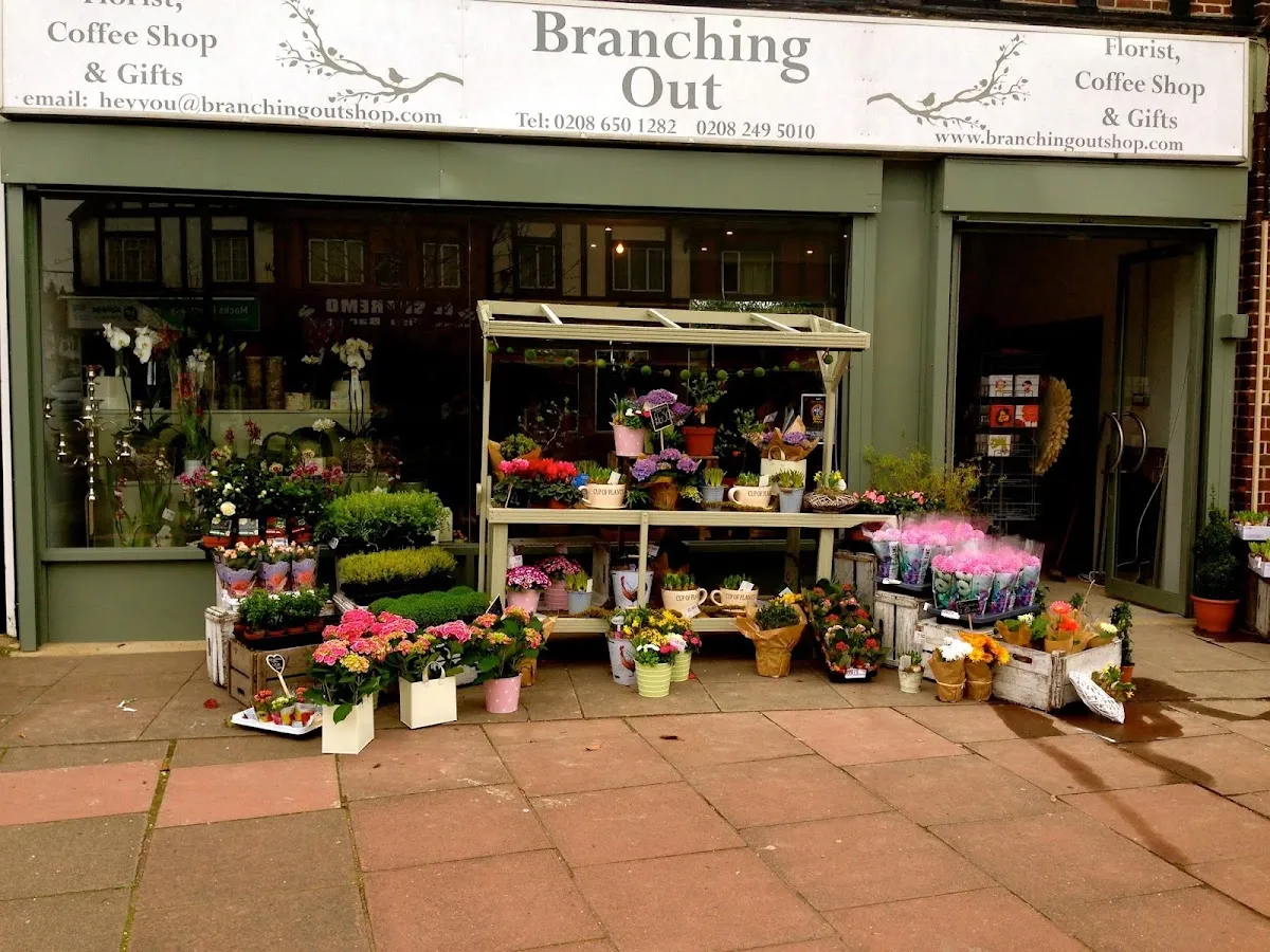 BookNoFees: مقهى – Branching Out – London – Branching Out، الصورة 1