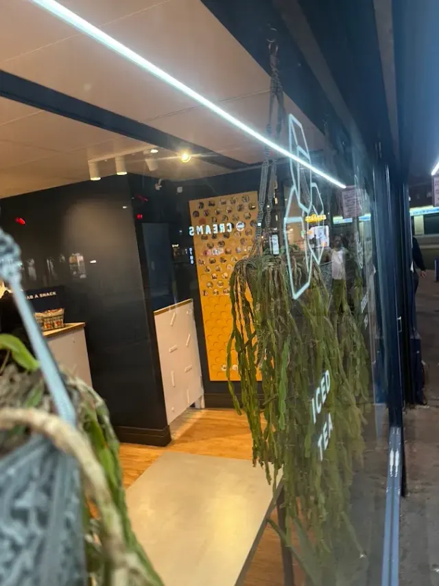 BookNoFees: مقهى – Cupp Bubble Tea – London – Cupp Bubble Tea، الصورة 2
