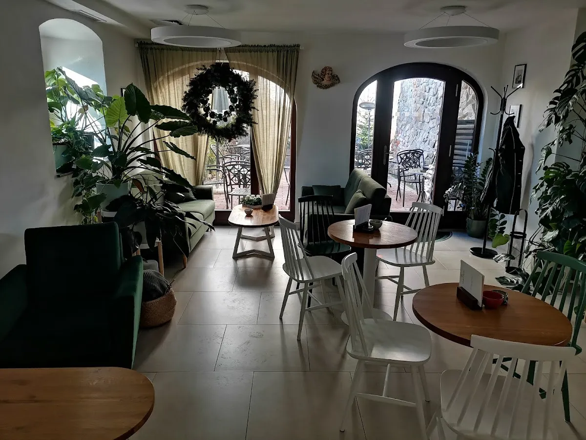 BookNoFees: مقهى – Martineum café – Bratislava – مقهى مارتينيوم، الصورة 1