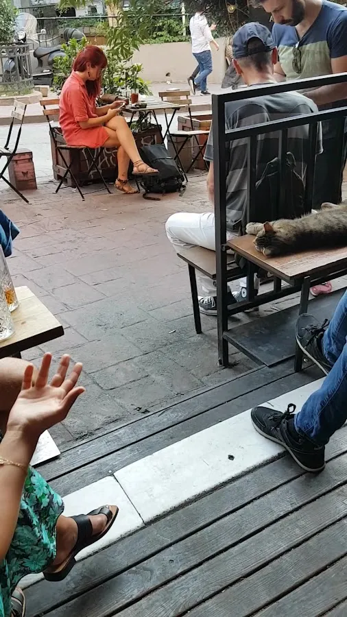 BookNoFees: مقهى – Swedish Coffee Point – Istanbul – Swedish Coffee Point، الصورة 3
